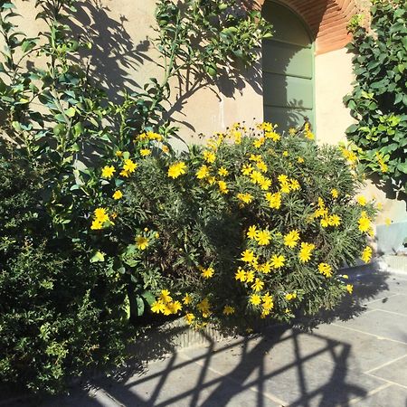 Willa Casa Mita Con Pacchetto Mare Incluso Camaiore Zewnętrze zdjęcie