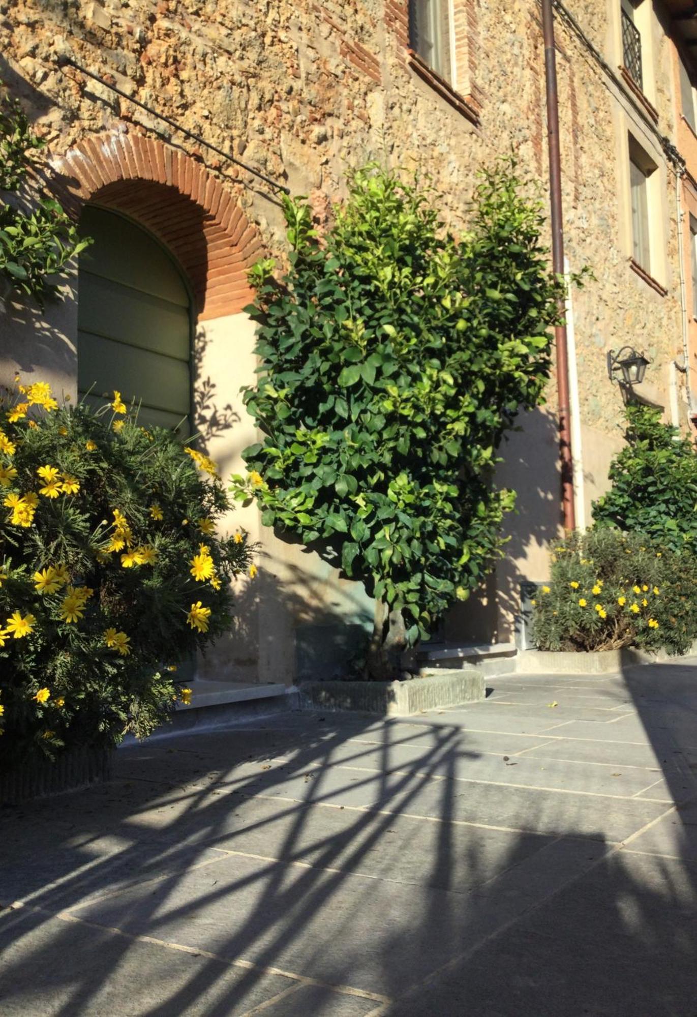 Willa Casa Mita Con Pacchetto Mare Incluso Camaiore Zewnętrze zdjęcie